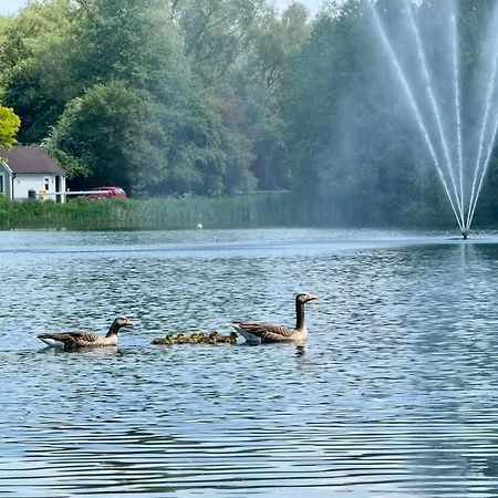 Luxury Kingfisher Lodge, Isis Lake, Within The Cotswold Waterpark Cirencester Exteriör bild