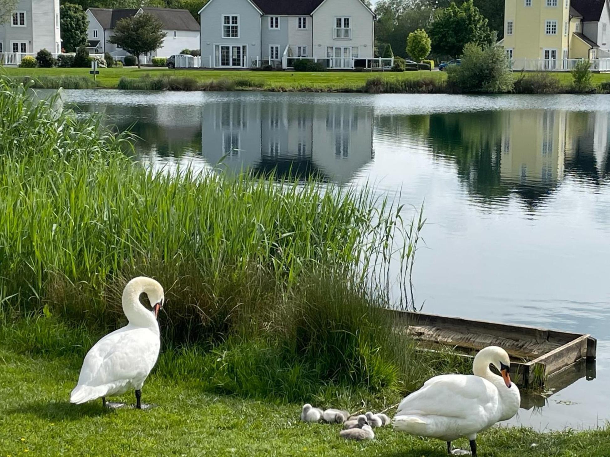 Luxury Kingfisher Lodge, Isis Lake, Within The Cotswold Waterpark Cirencester Exteriör bild